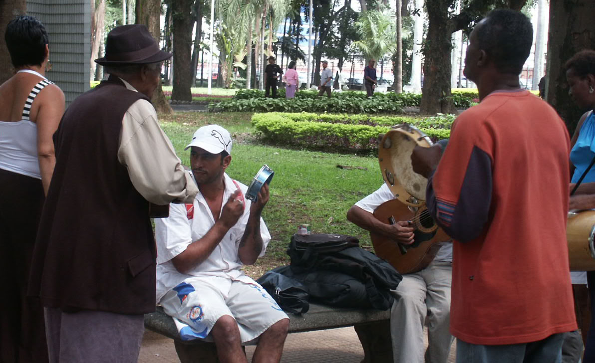 Jardim da Luz, SP.Foto A.A.Bispo